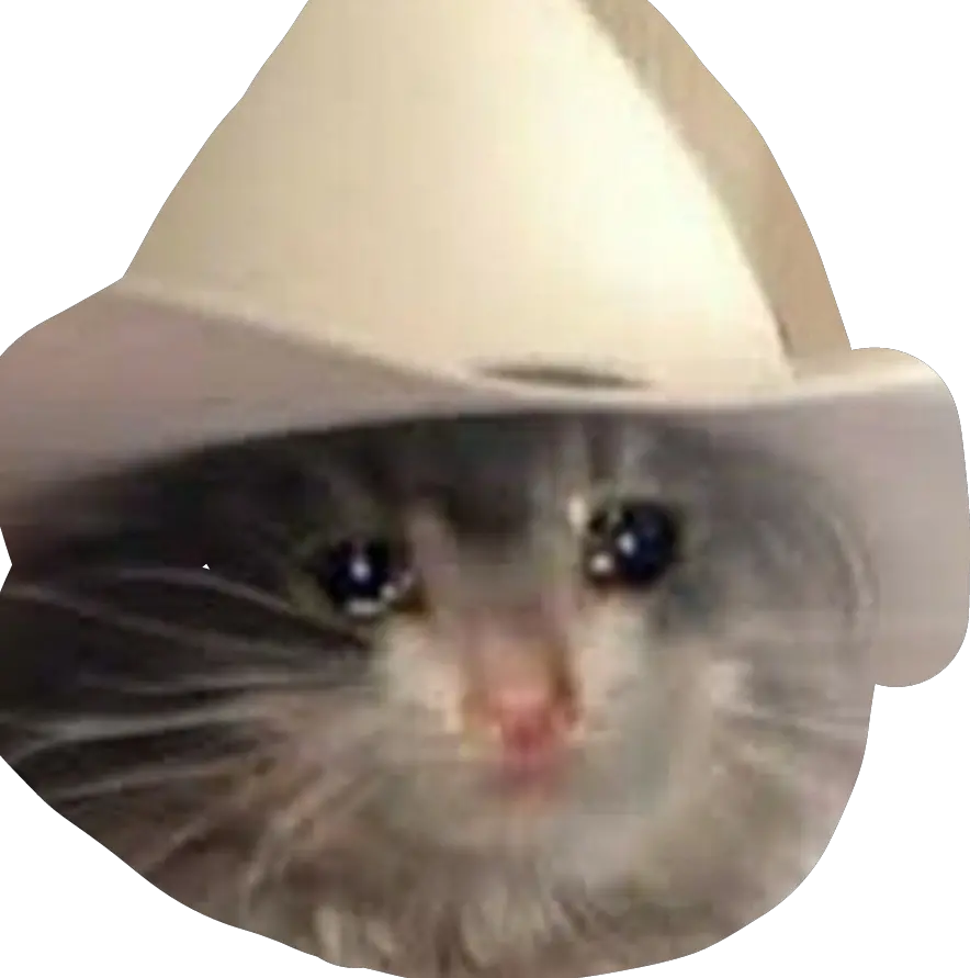 Transparent Sad Meme Png Yeehaw Cat Meme