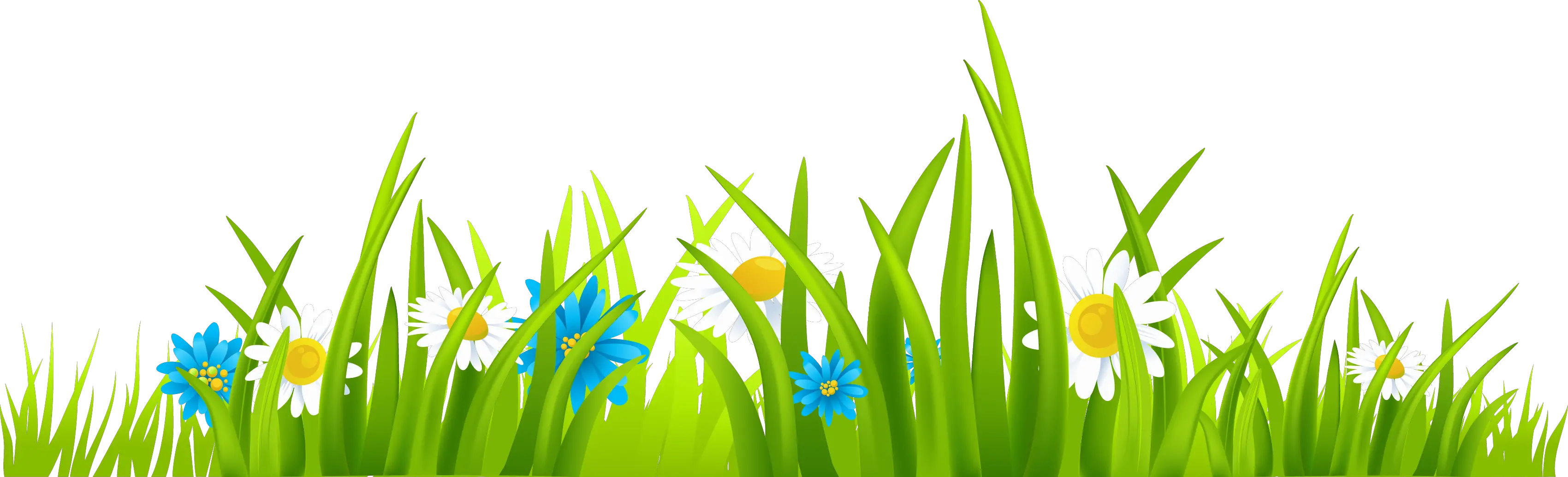 Grass Border Clipart Png Grass And Flower Vector