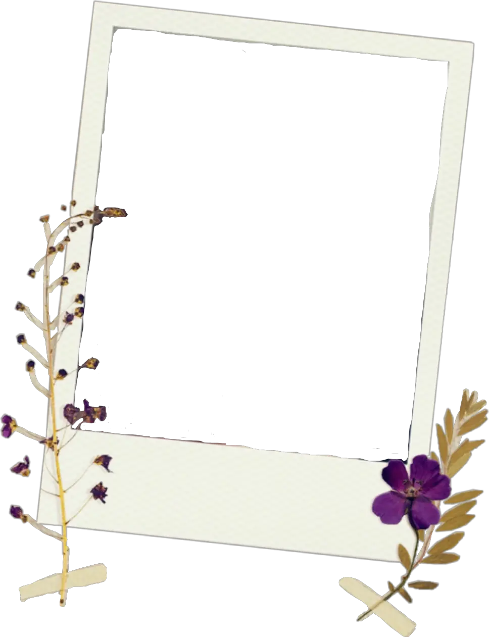 frame polaroid picture flowers tape vintage cute Floral Design