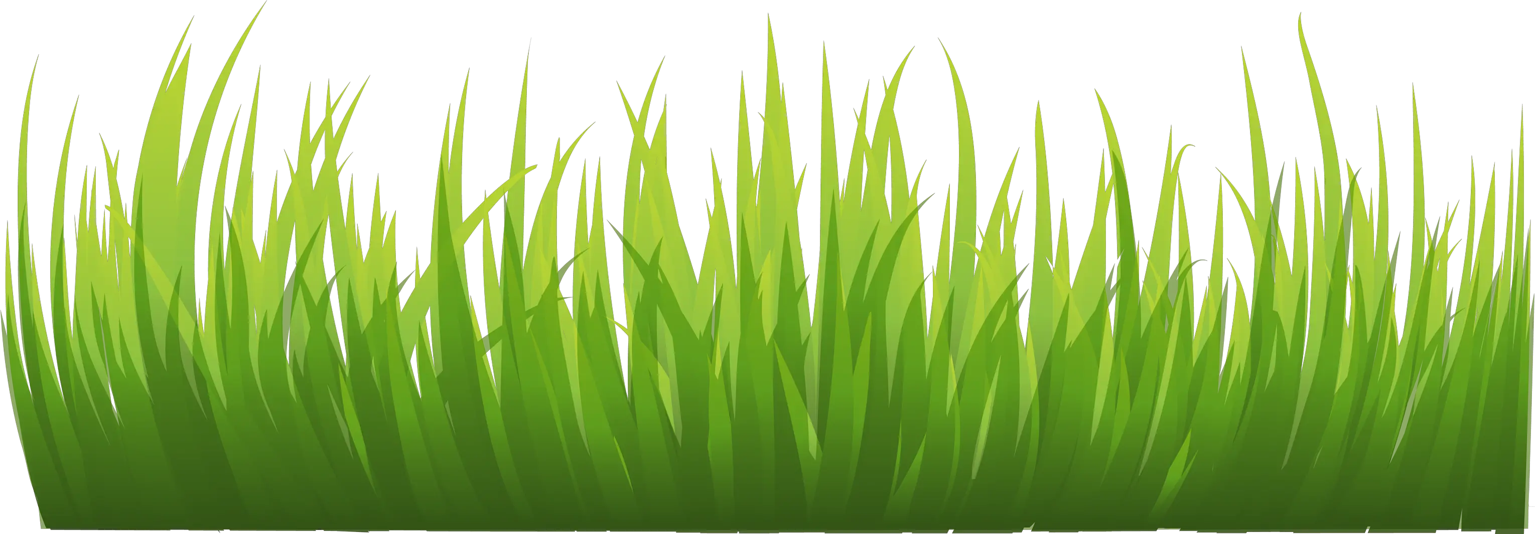 Grass Png Image