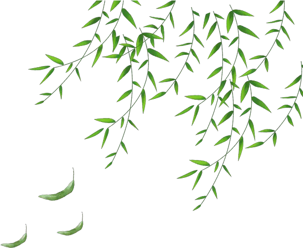 Clip Art The Png For Daun Hijau Png