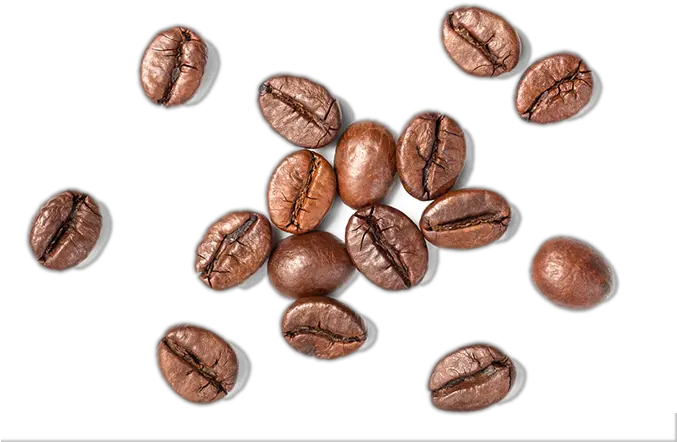 Coffee Beans Top View