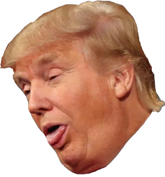 Donald Trump Clipart Head Stupid Trump