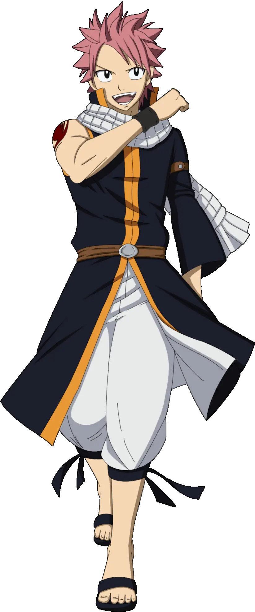 Natsu Png Vector