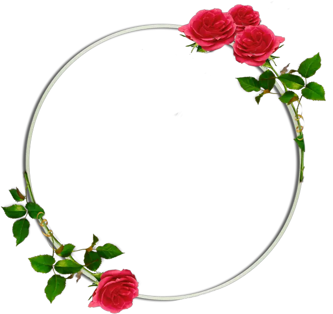 circle background floral flowers roses rose redrose