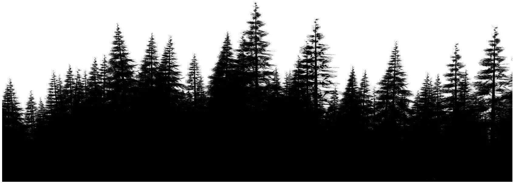 Forest Png File Download Free Pine Forest Png