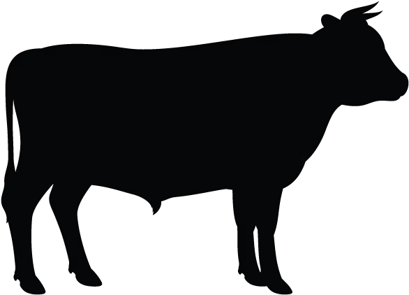 Clip Art Vector Graphics Angus Cattle Silhouette Holstein Cow Silhouette Vector