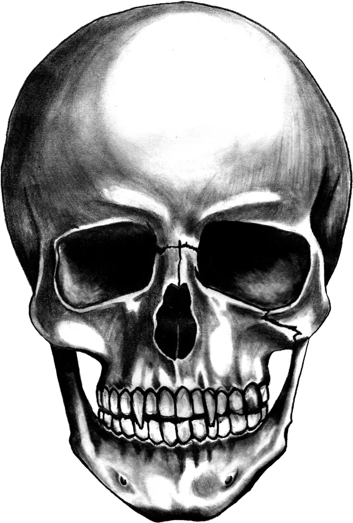 Skull Face Png Skull Transparent Png