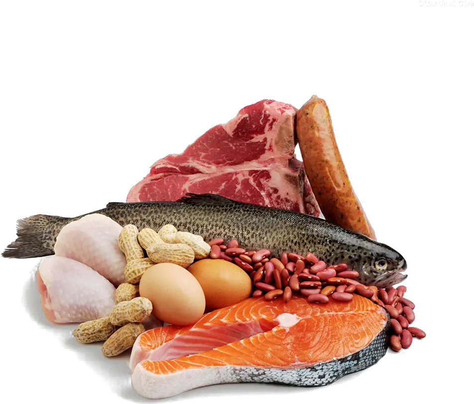 Seafood Meat Fish Protein Meat And Fish Png