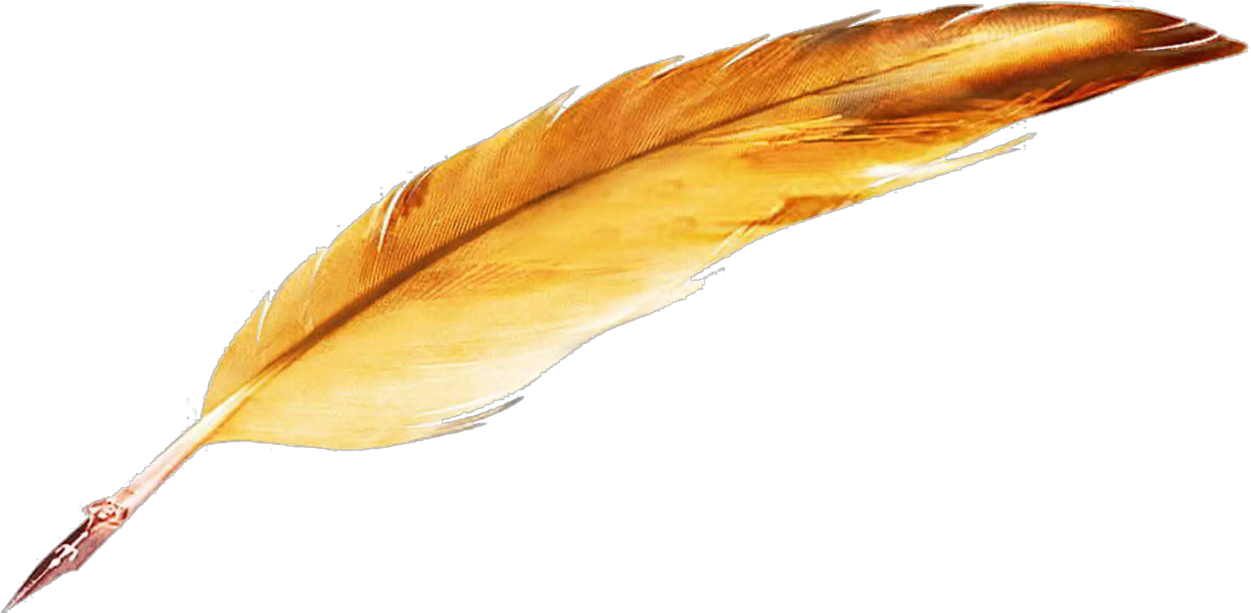 Quill Quill Feather Pen Png