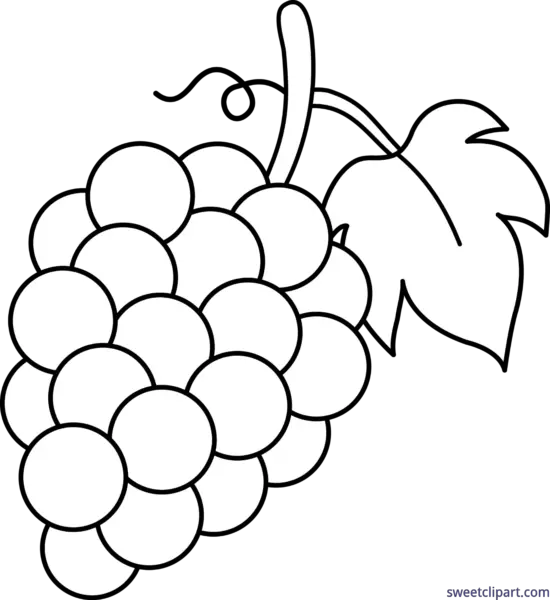 Grape Clipart Black And White Grapes Clipart