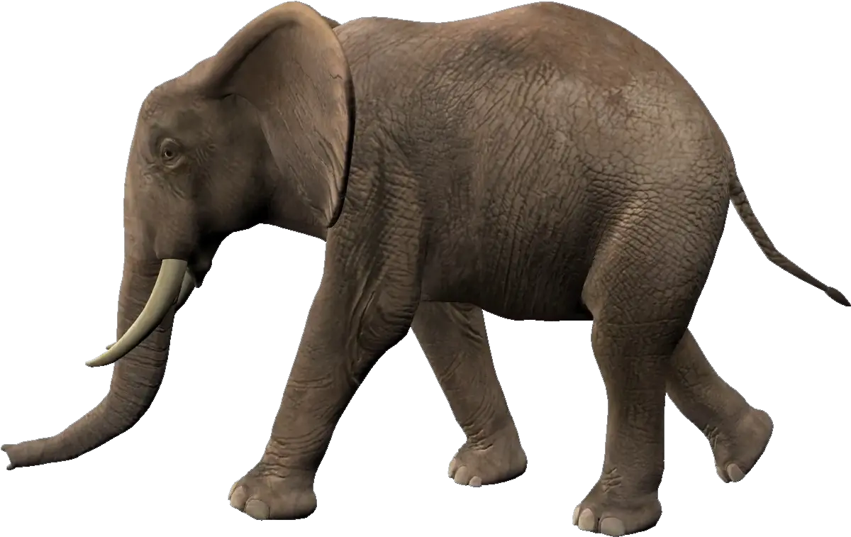 Elephants Png Transparent Image Elephant Walking Animation