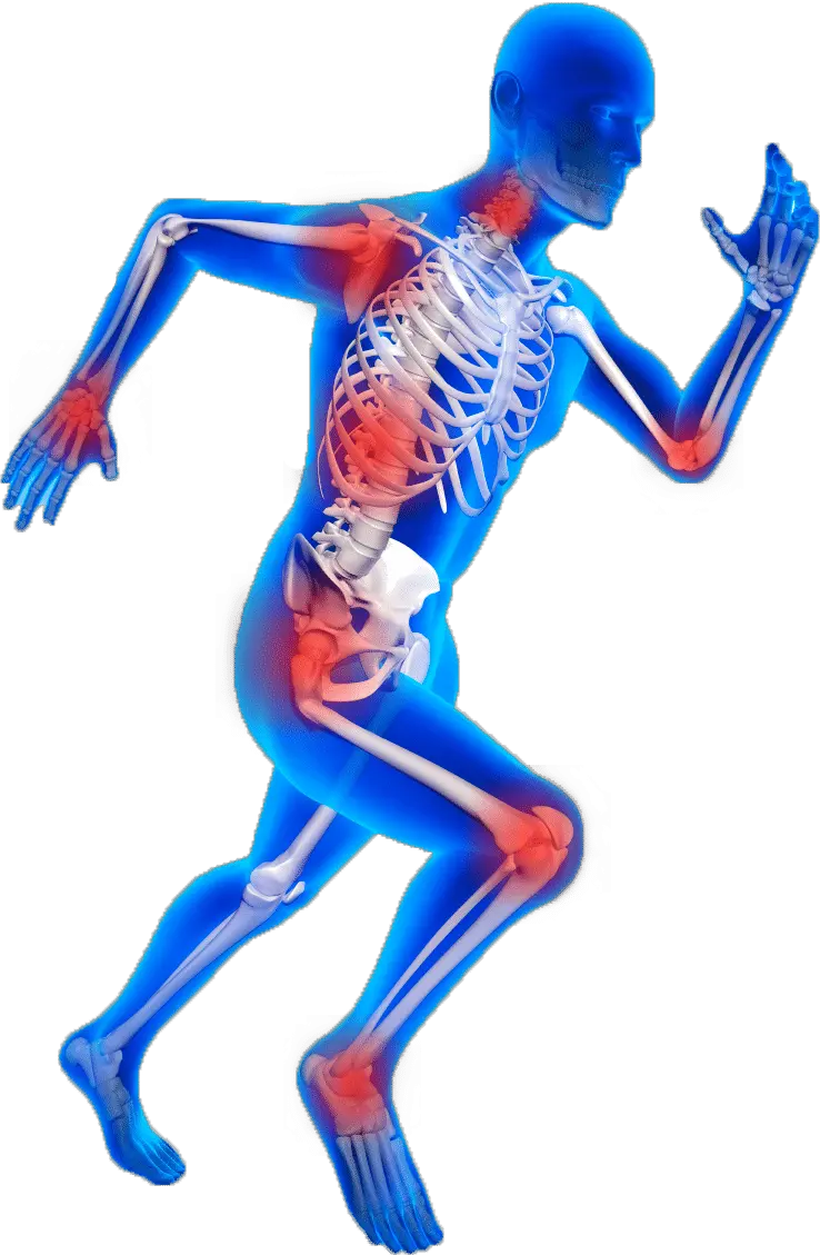 Orthopedic Images Png