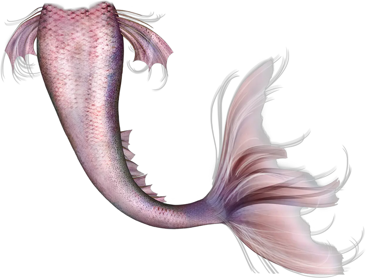 Mermaid Legendary Creature Fairy Tail Mermaid Tail Png