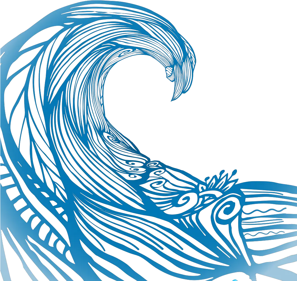 Ocean Wave Vector Png