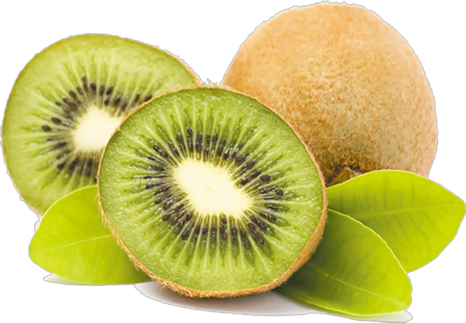 Kiwi Png Download Kiwi Png