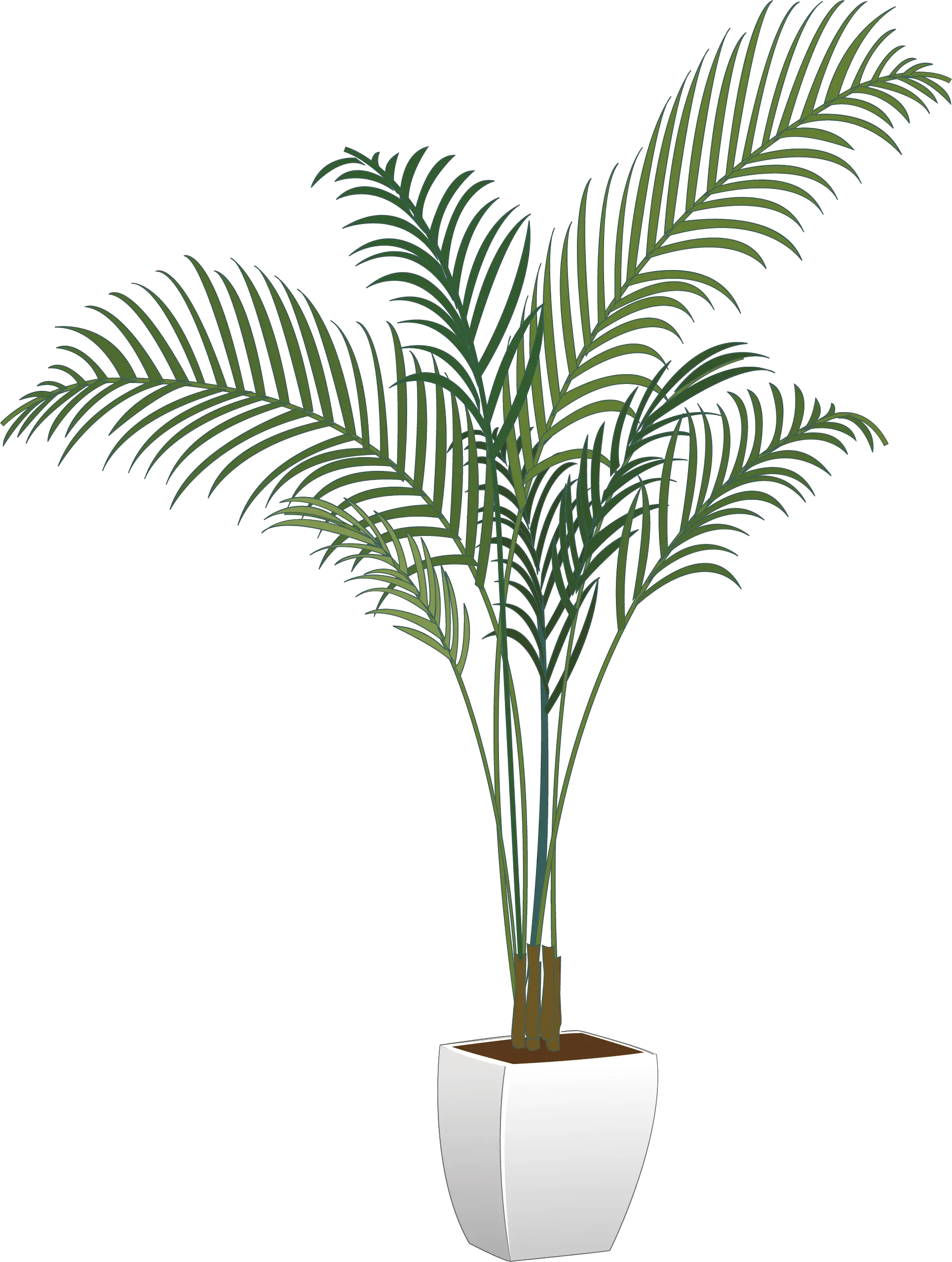 House Plant Png Potted Plant Png Transparent