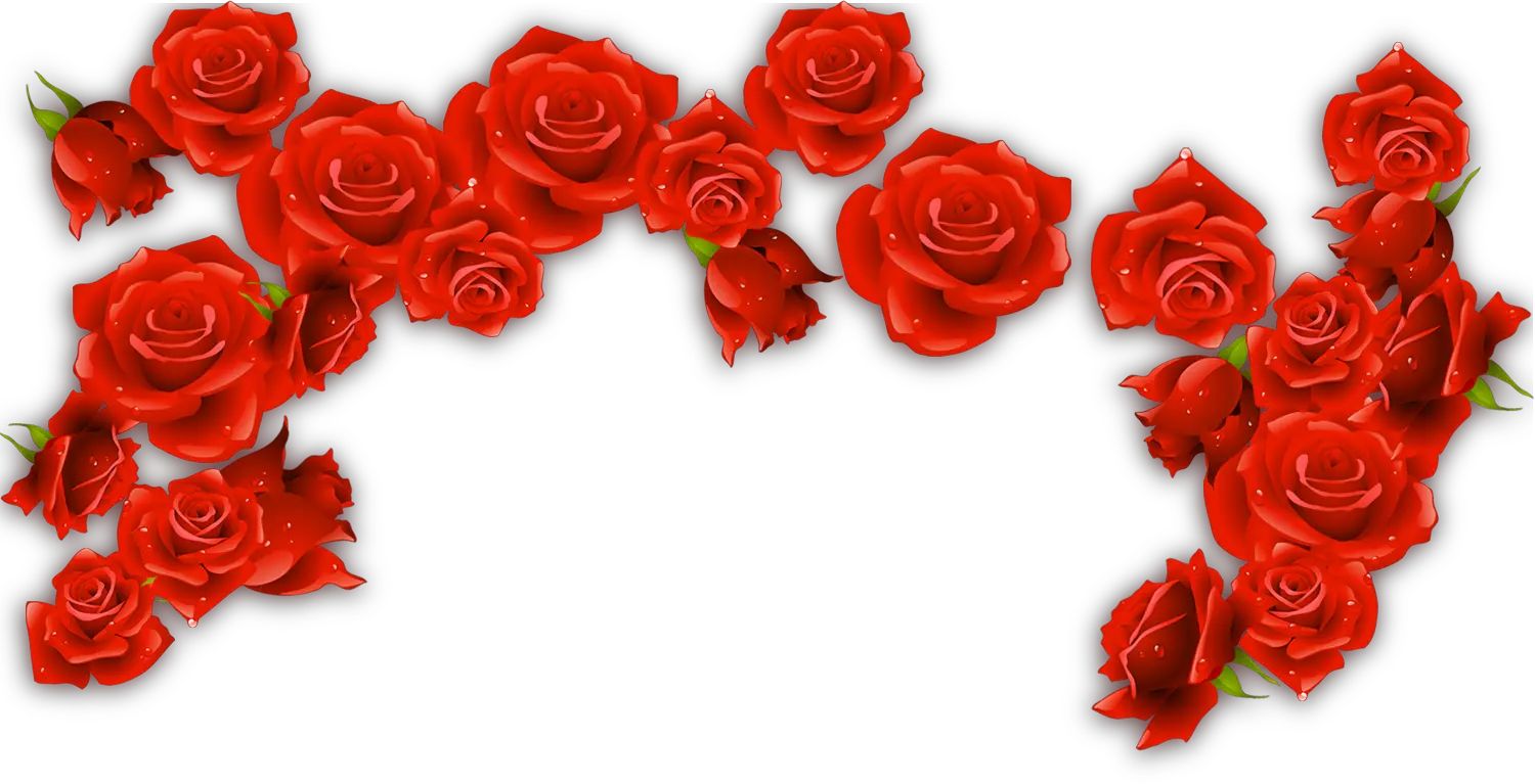 Red Wine Rosxe9 Rose Transparent Red Roses Border