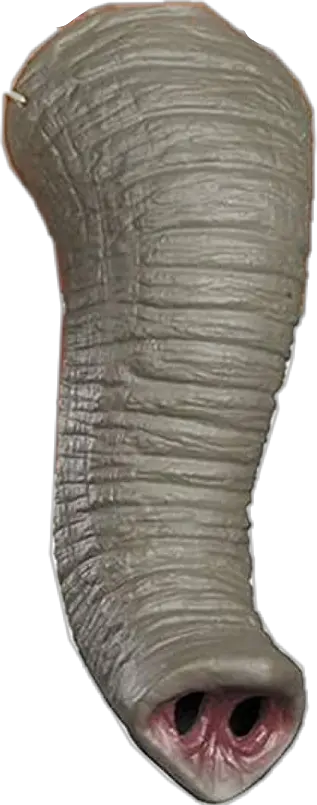 filter elephanttrunk elephant trunk nose elephantnose Vase