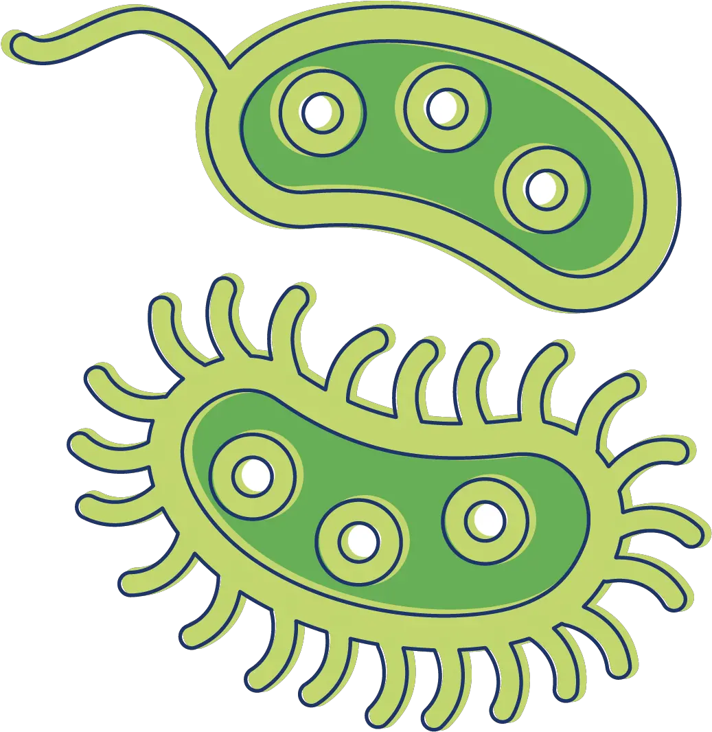 Clip Art Clipart Bacteria Transparent Background Bacteria Clipart