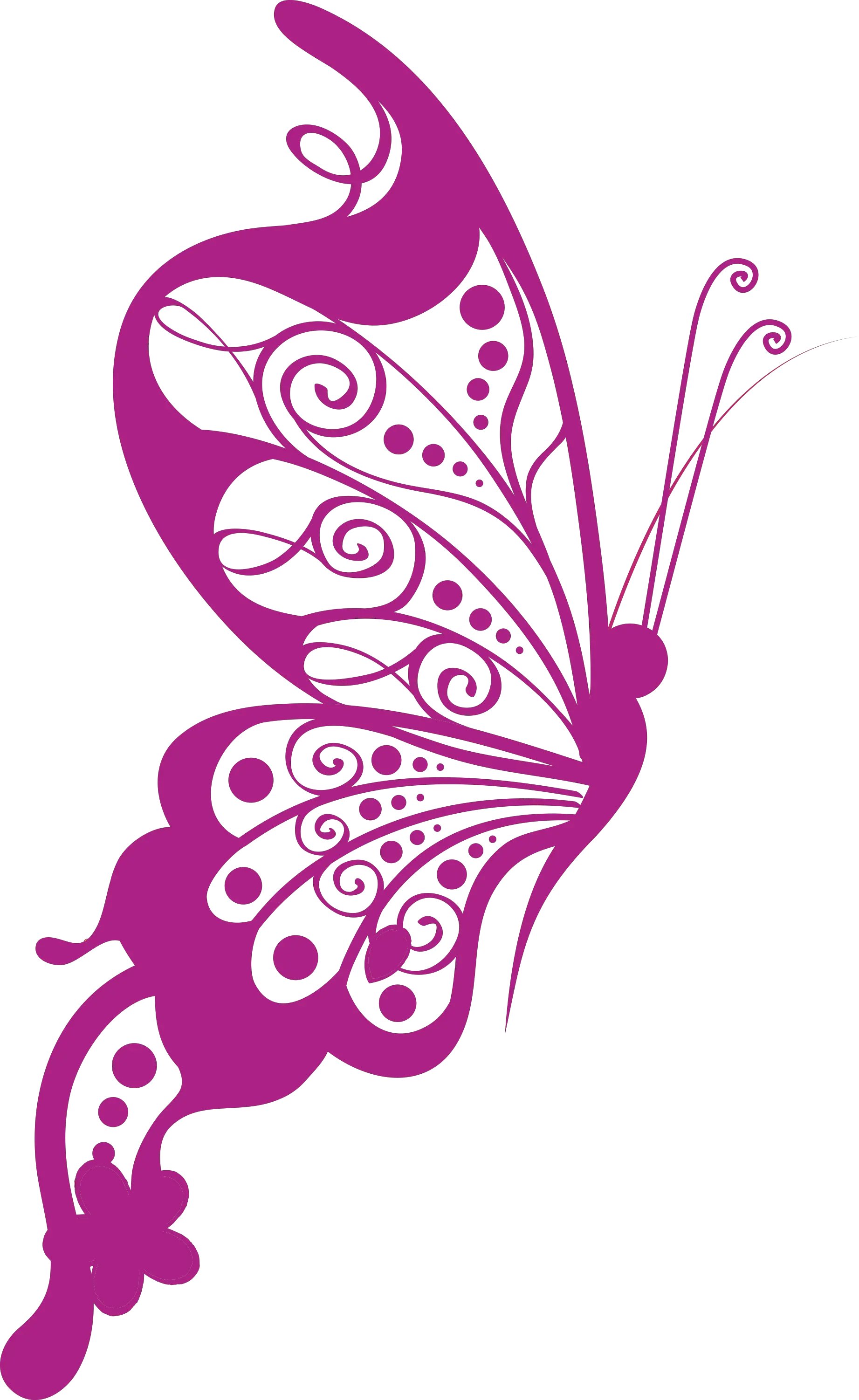 Butterfly Png Vector