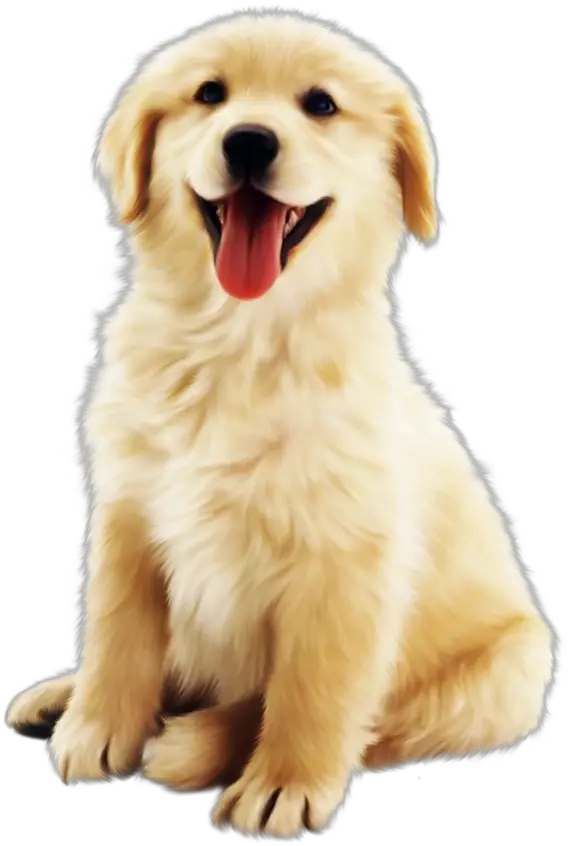 Cute Golden Pet Dog Png Download Cute Dogs Transparent Background