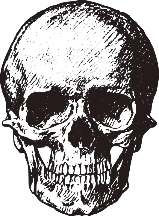 Free Image On Vintage Skull Png