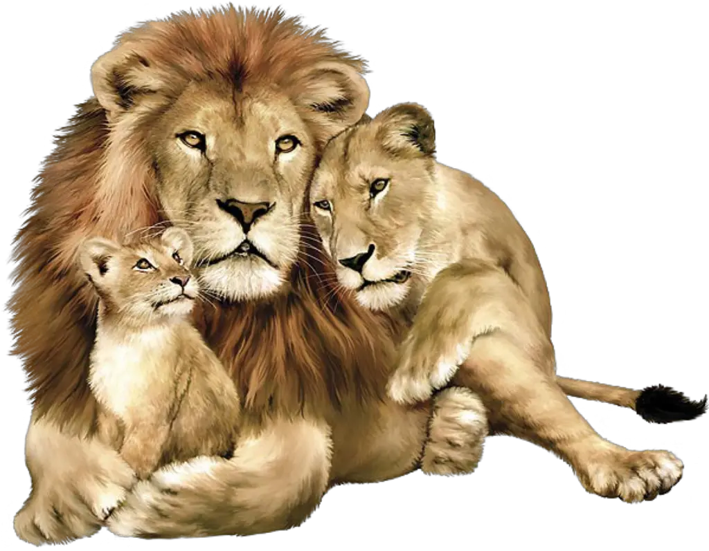 Lion Png Image