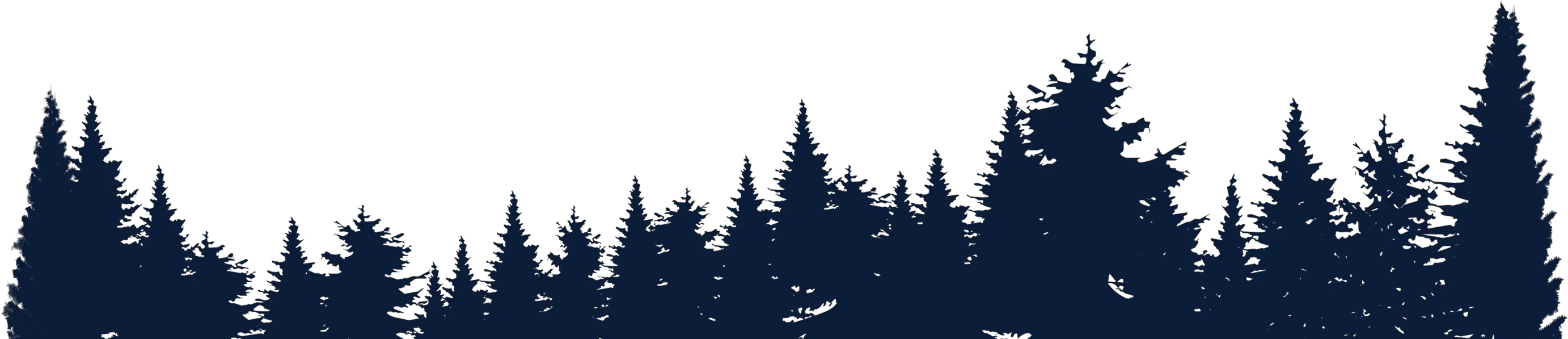 Transparent Forest Silhouette Png