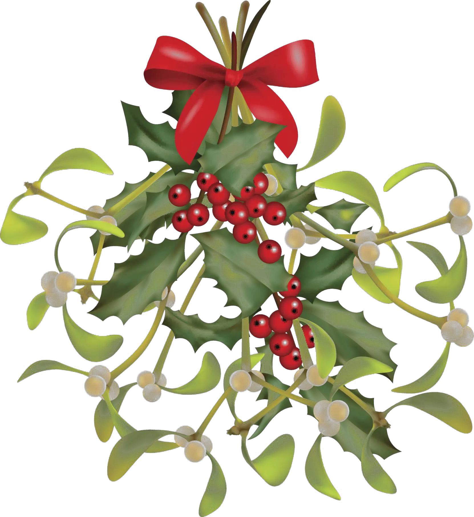 Mistletoe Png File