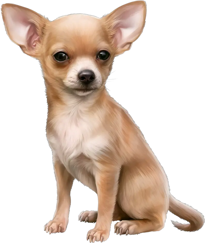 Chihuahua Clipart Cute Chihuahua Chihuahua Clipart