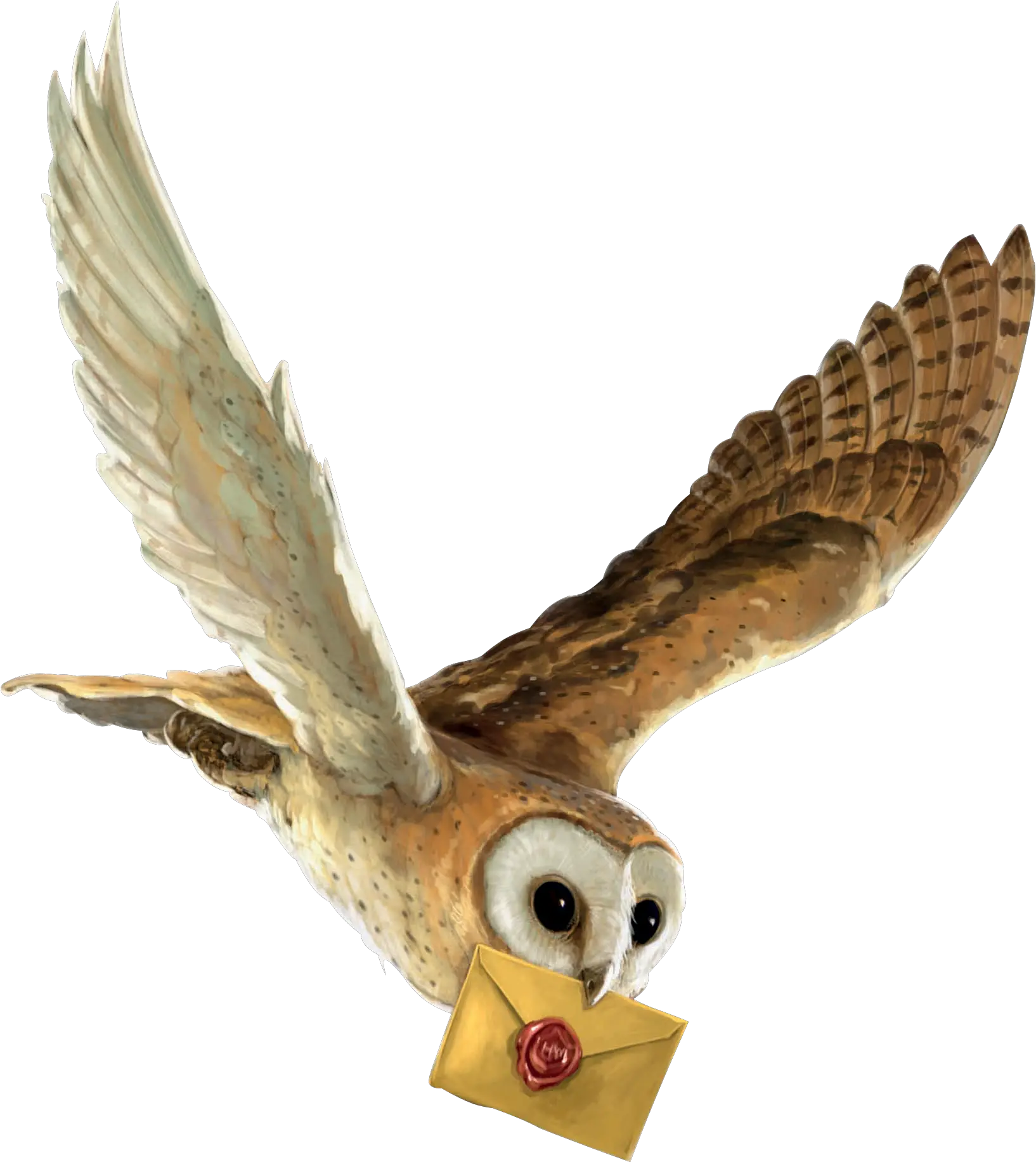 Harry Potter And The Philosopher S Stone Owl Hedwig Harry Potter Owl Flying