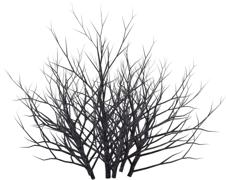 Bush Png Black And White Dead Bush Png