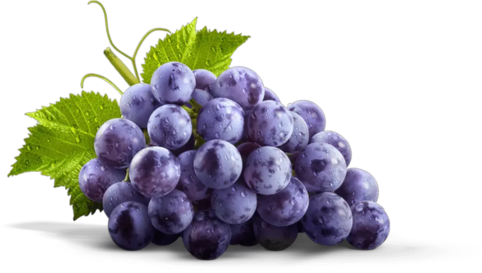 Thumbnail Concord Grape Png