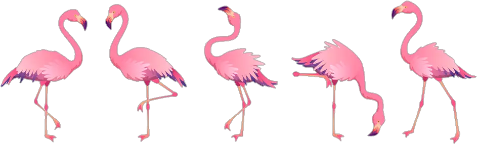 flamingo bird tropical summer watercolor Pink Flamingos Flamingo Beach Flamingo