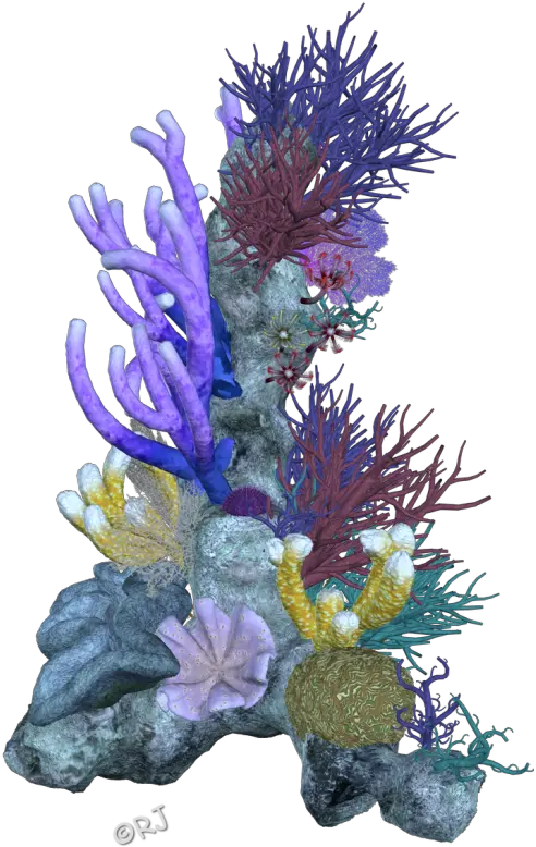 Pin Coral Reef Clipart Png Coral Clipart Coral Reefs Coral Png