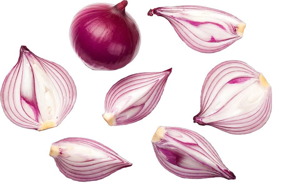 Onion Top View