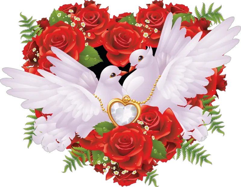 Transparent Wedding Doves Png Love Birds With Rose