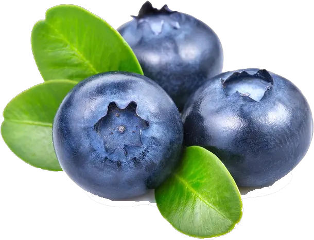 Blueberry Png File Transparent Background Blueberry Png