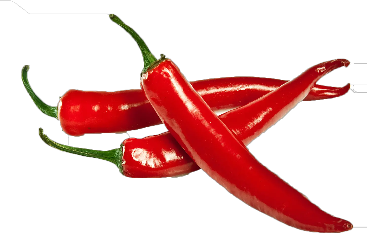 Chutney Chili Pepper Indian Cuisine Chili Powder Spice Fresh Red Chillies