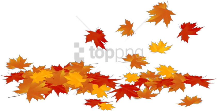 Download Fallen Leaves Clipart Transparent Background Fall Leaves Clip Art