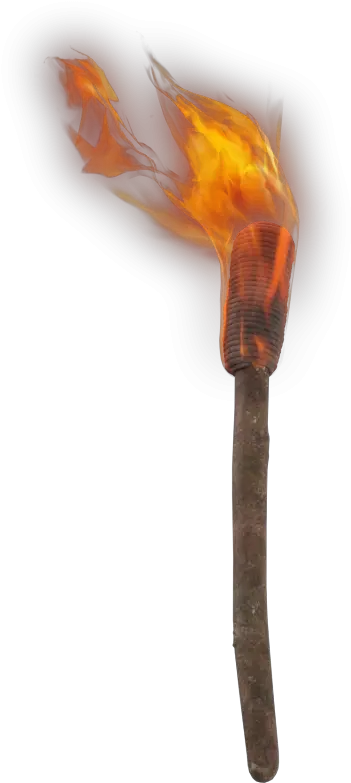 Hand Torch Png Image Torch Transparent Background