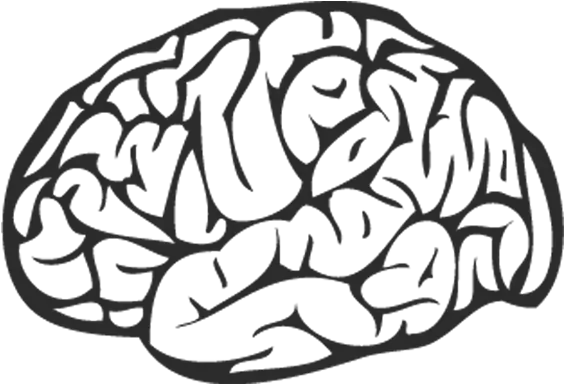 Brain Png Black Brain Black And White Png