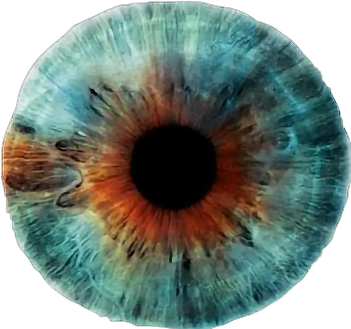 blue brown eye lens blueeyefreetoedit Rankin Eyescapes