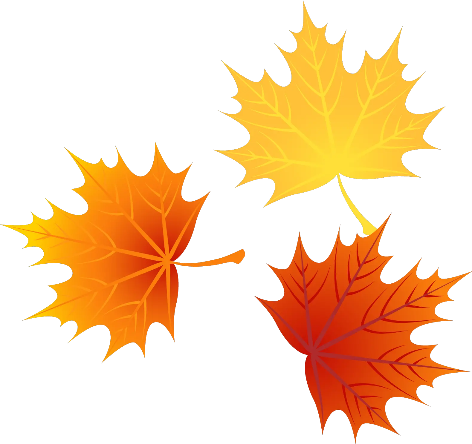 Autumn Euclidean Leaves Vector Leaf Png Image High Cartoon Fall Leaves Png