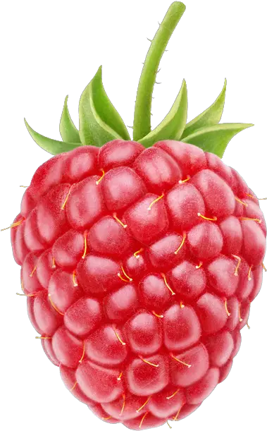 Berry Transparent Background Raspberry Png