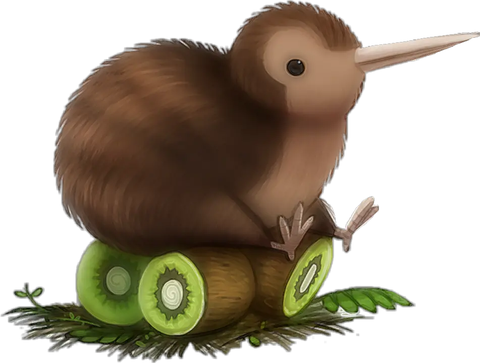 Transparent Kiwi Bird Png Cute Cartoon Kiwi Bird