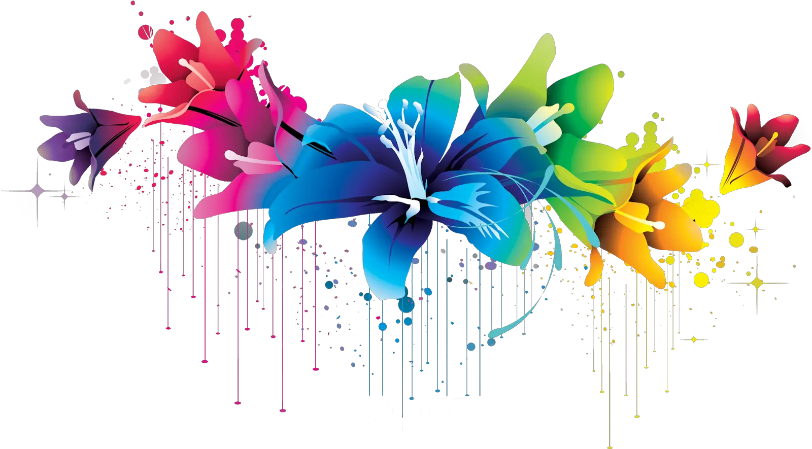 Flowers Images Hd 1080p Png