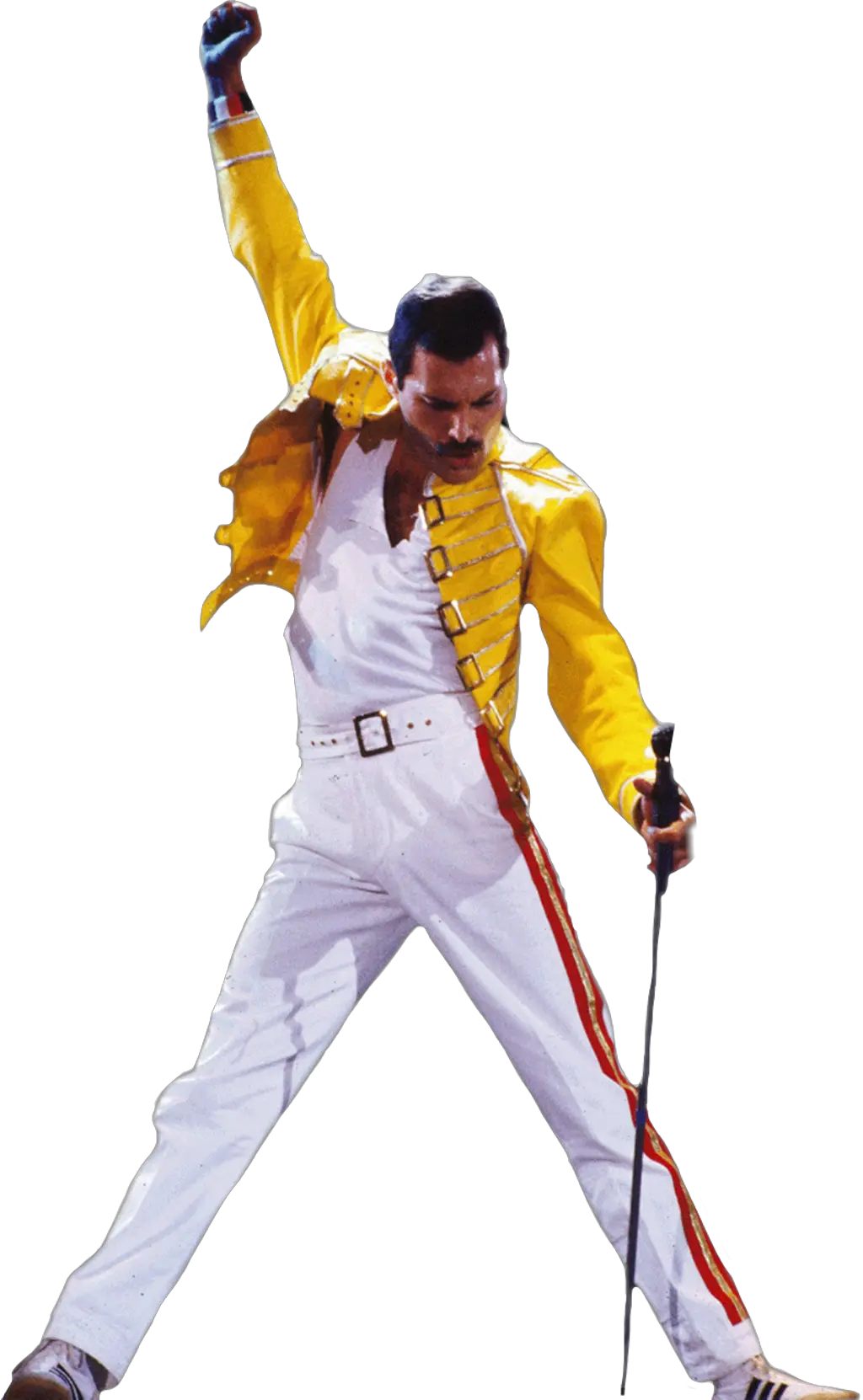 Freddie Mercury Png