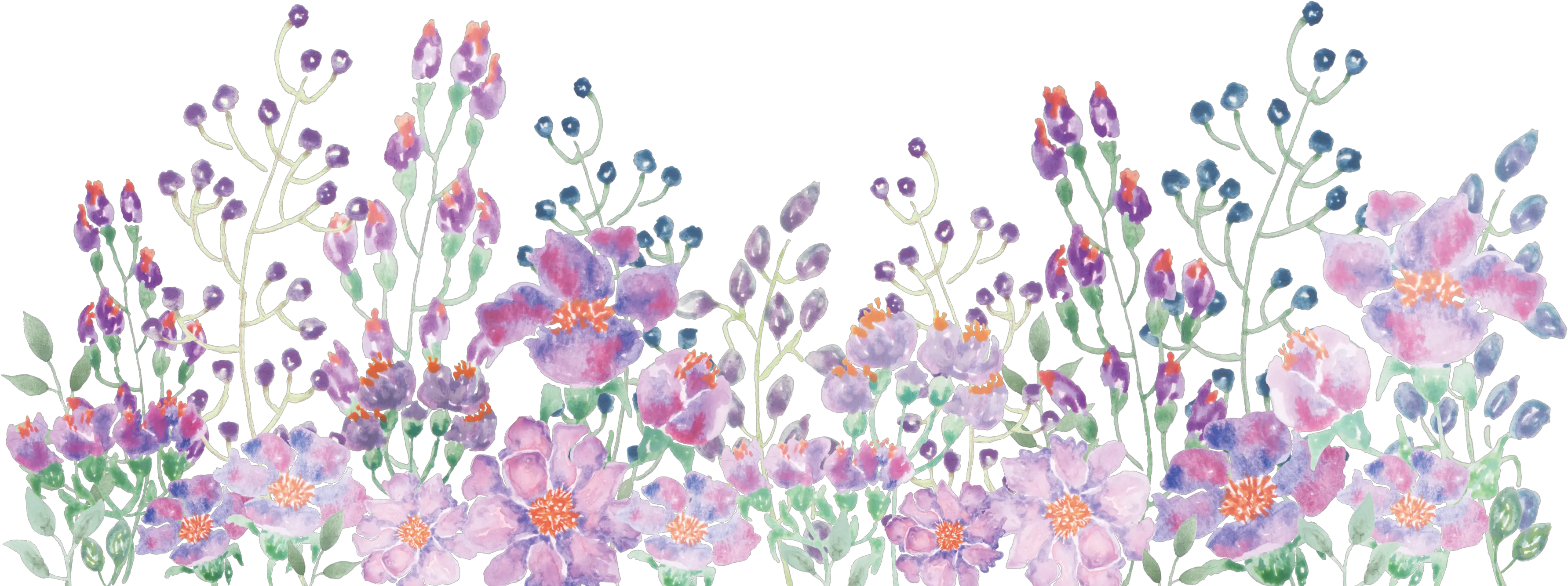 Watercolor Painting Floral Design Watercolor Flowers Line Png